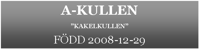 Textruta: A-KULLENKAKELKULLENFDD 2008-12-29